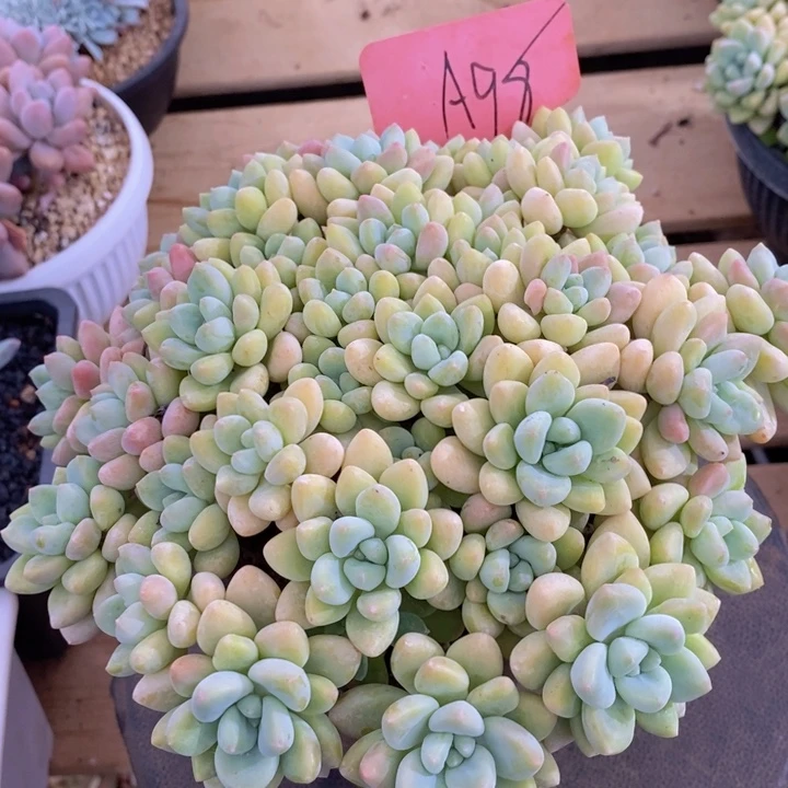在家干吗你现在不上班