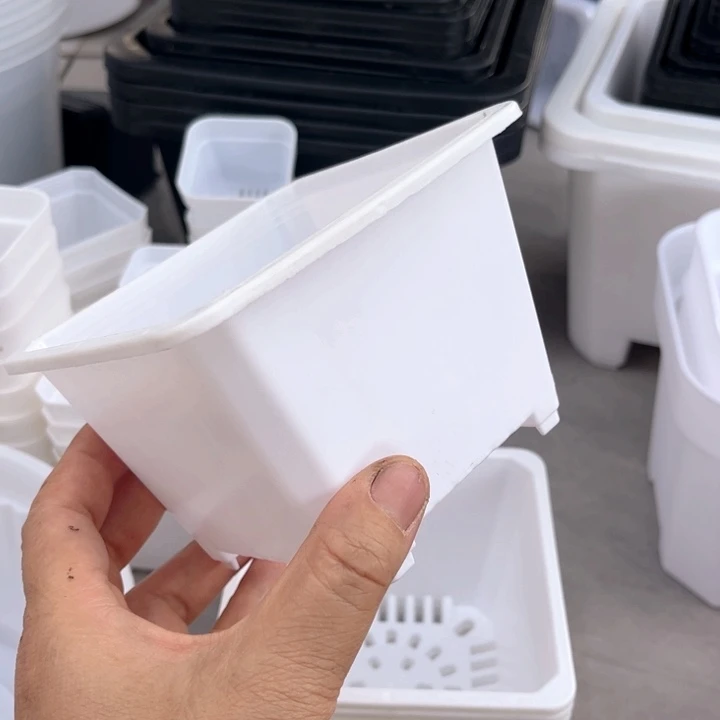 白方口11高8一组20