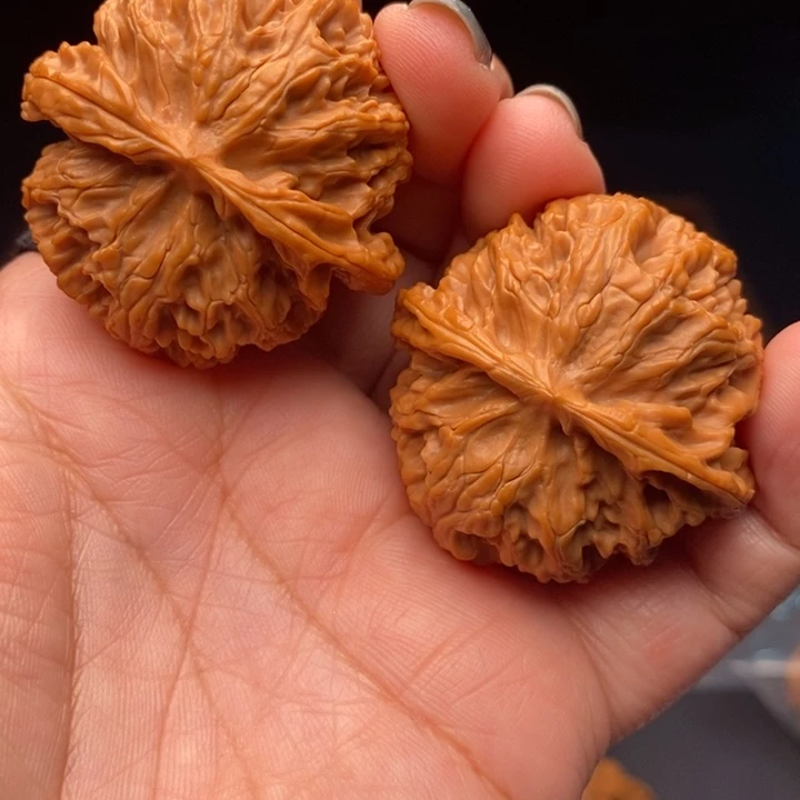 核桃苹果园42尺核桃