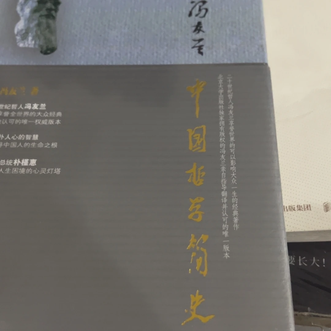 中国哲学简史十二米