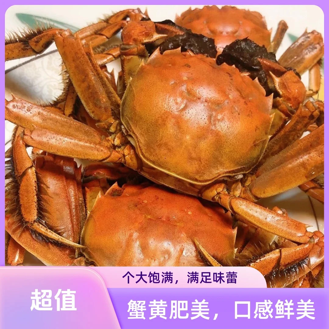 稻田全母蟹鲜活十只送两只一份配蟹醋可帮蒸（送两只）