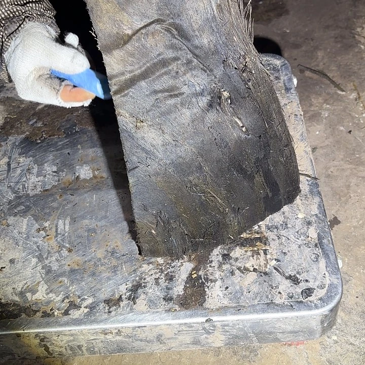 森***灵啊啊啊啊啊啊啊啊啊