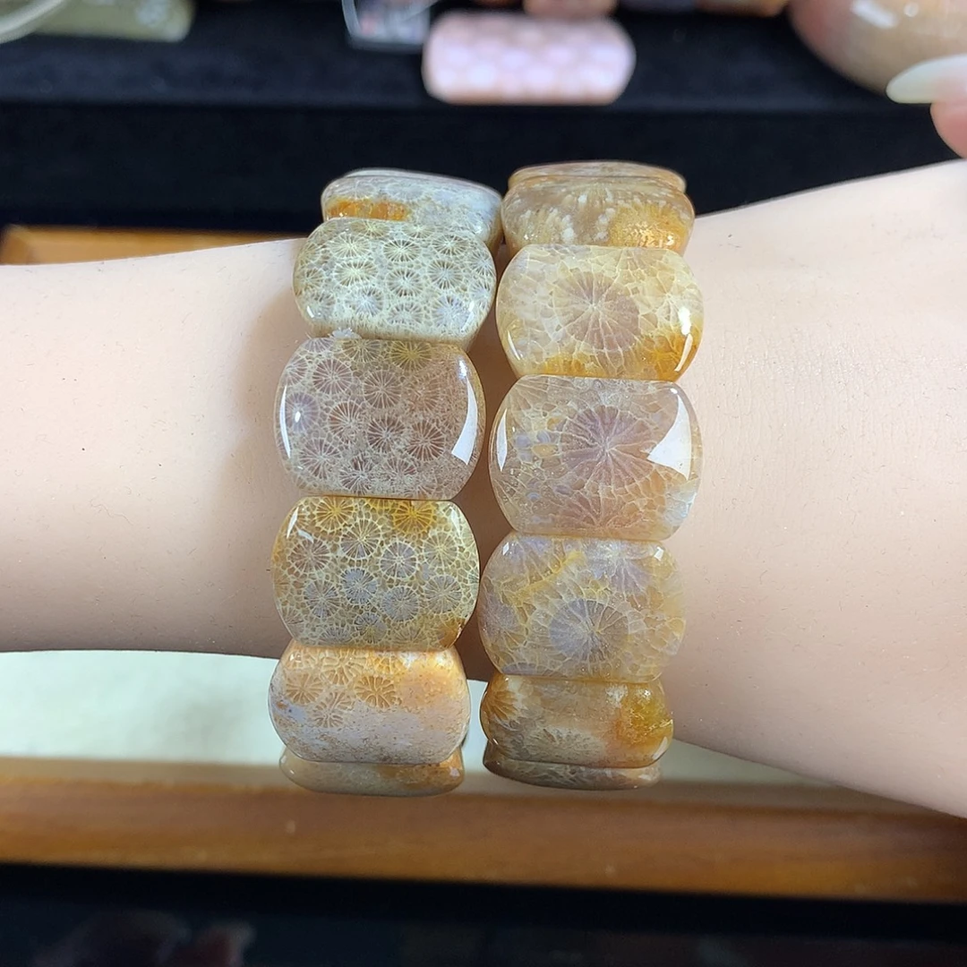 吊坠(赠链)未镶嵌硅化珊瑚（珊瑚玉）8号福利