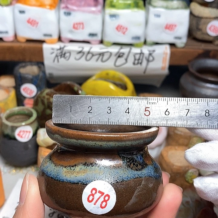 红陶拍5送一个小