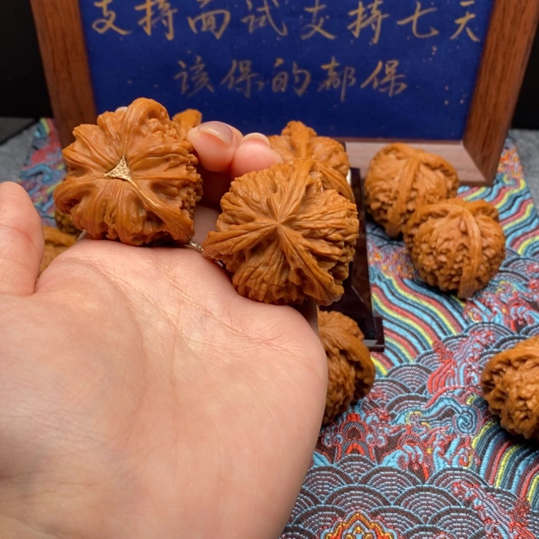 【闪购商品】东****地白狮子1111111