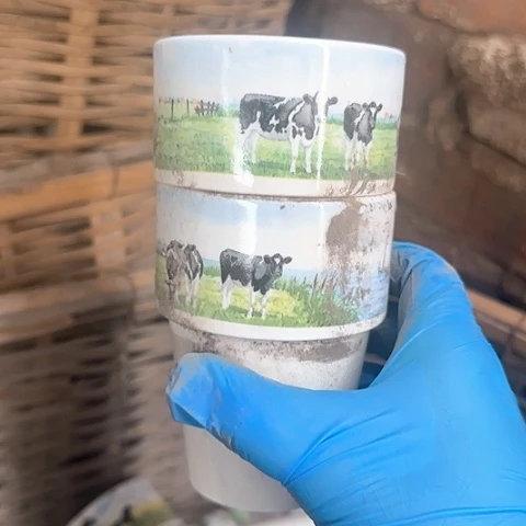 瓷片国营厂库存微瑕2个牛