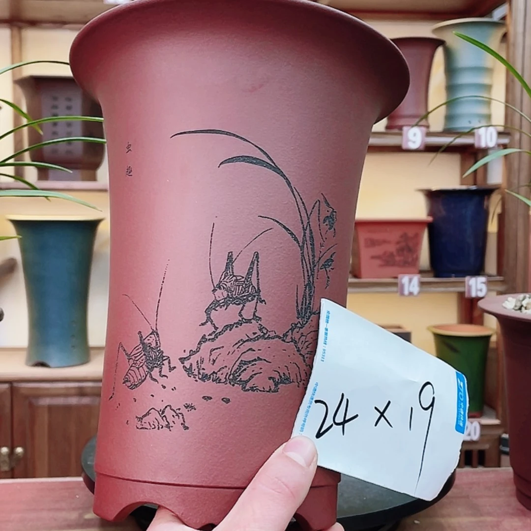 【闪购商品】紫砂花盆兰花755885555855555555