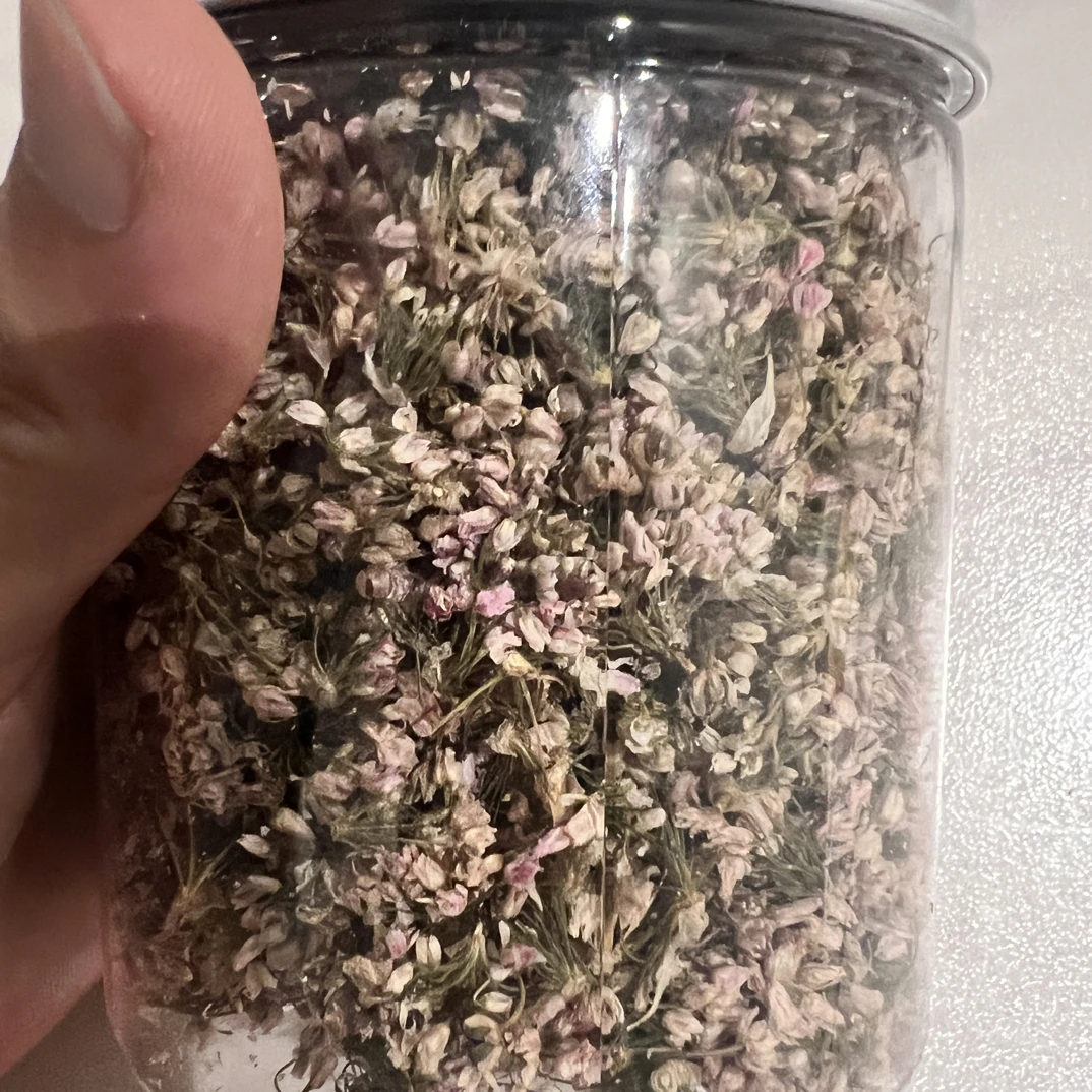 陕北野生泽蒙花