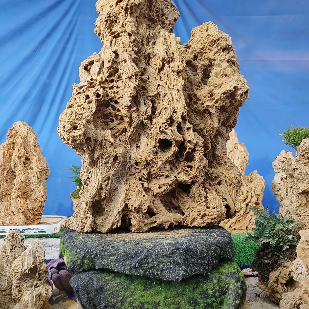 【闪购商品】明**道0320-2明天