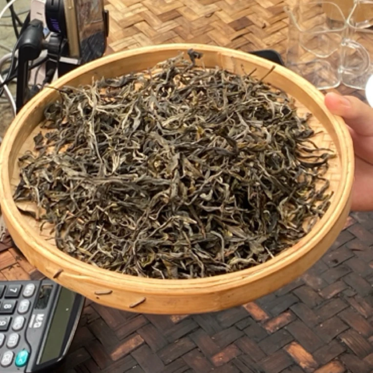 *2025年【那罕.春.混采】晒青茶【生散茶】-7月3日【07】