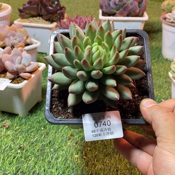 0740啊啊啊啊啊啊啊啊啊