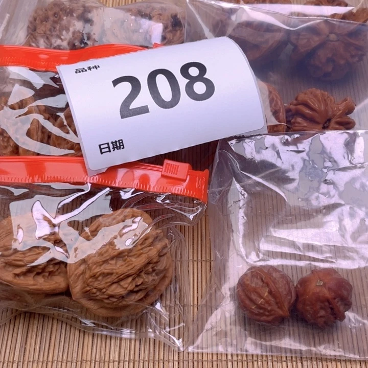 文玩核桃把件208号6对