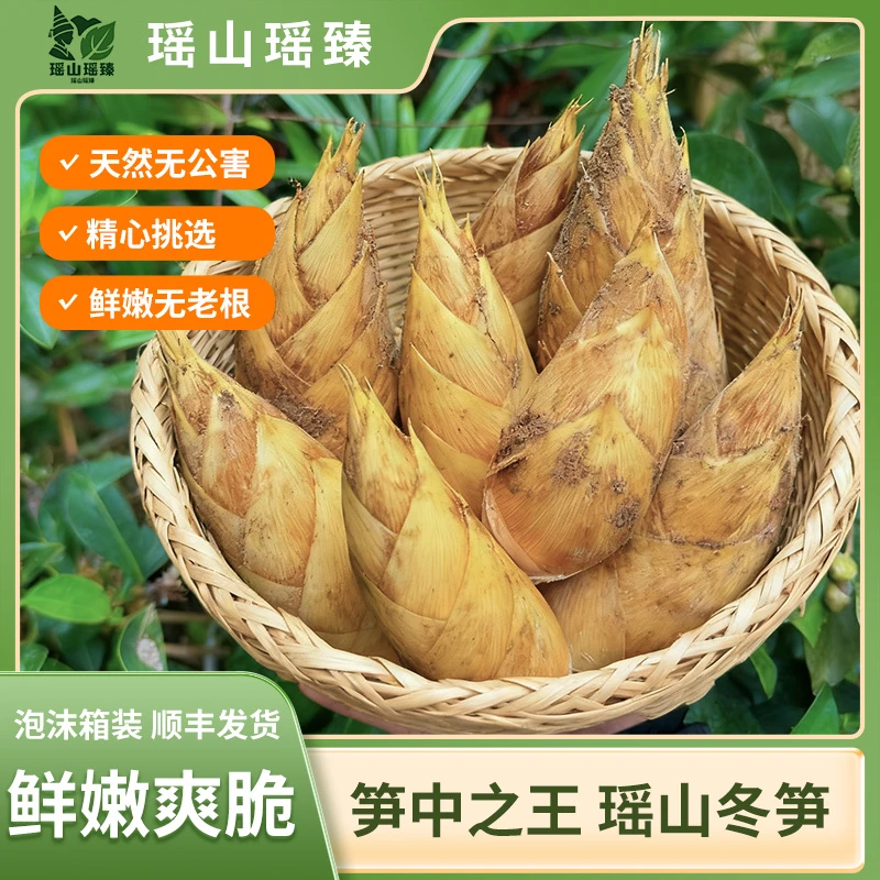 顺丰包邮新鲜现挖高山两头尖冬笋肉厚脆嫩饱满