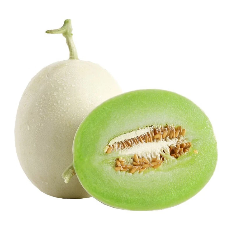 【现摘】新鲜玉菇甜瓜 1个（约800-1200g）