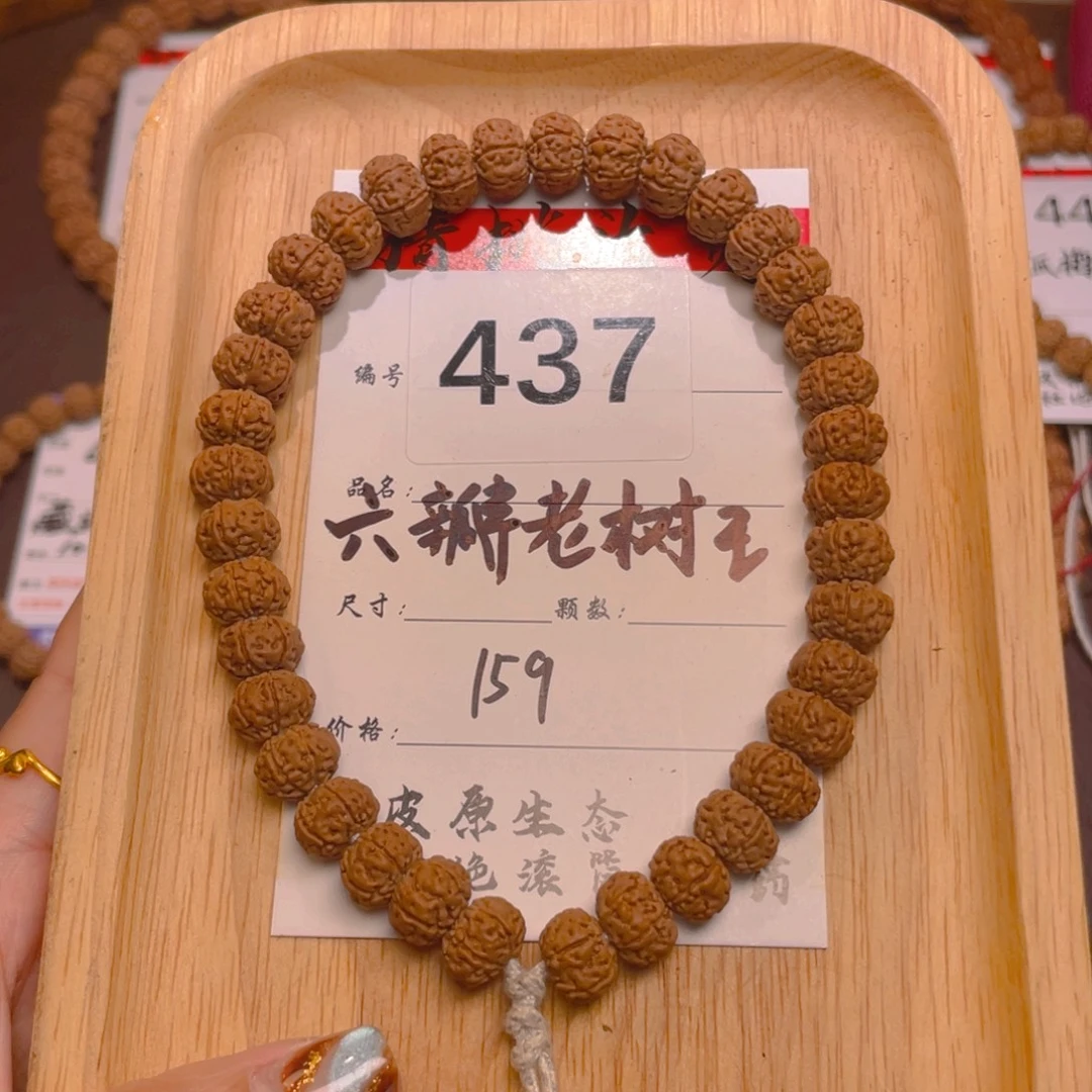 菩提437六瓣老树王11