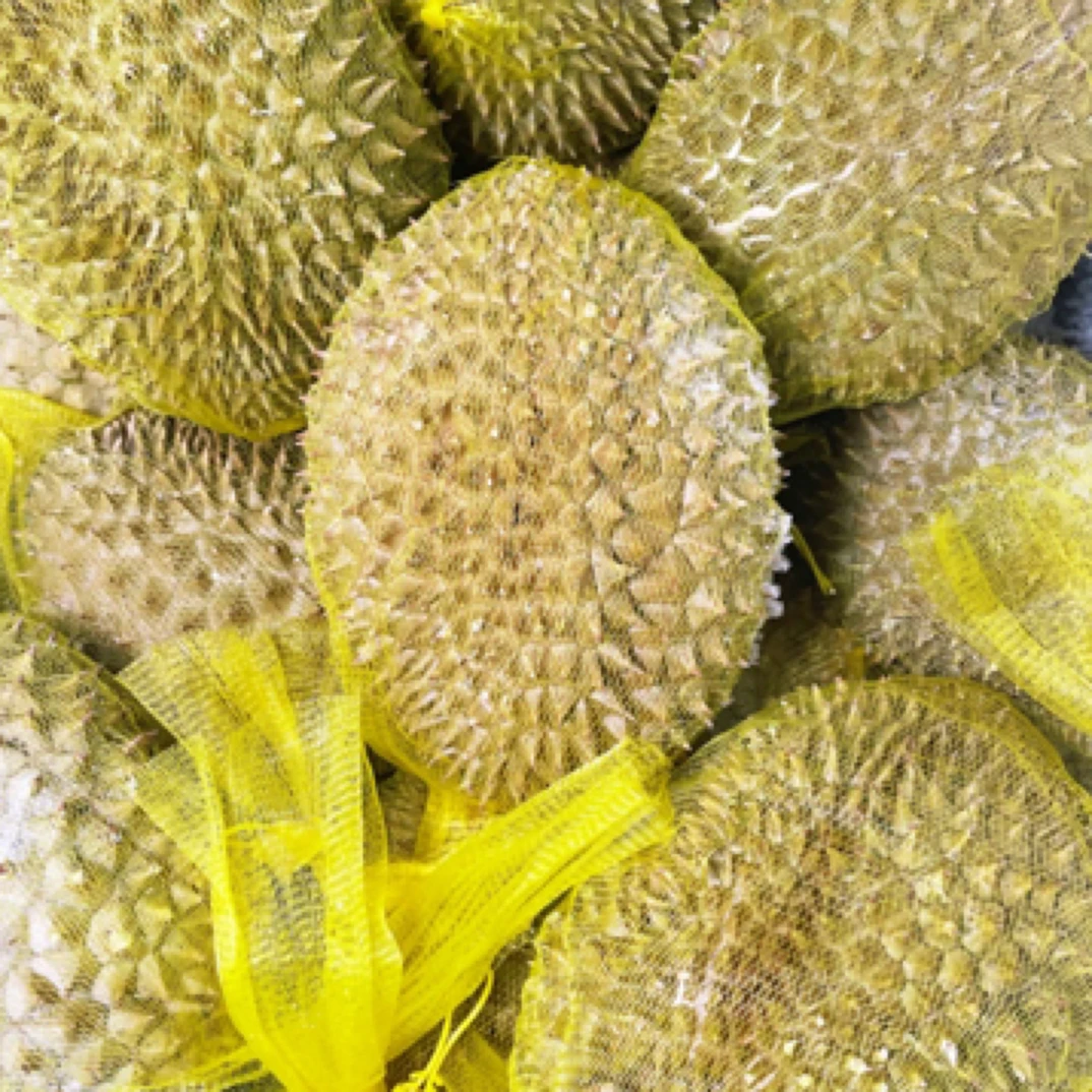 液氮冷冻树熟榴莲