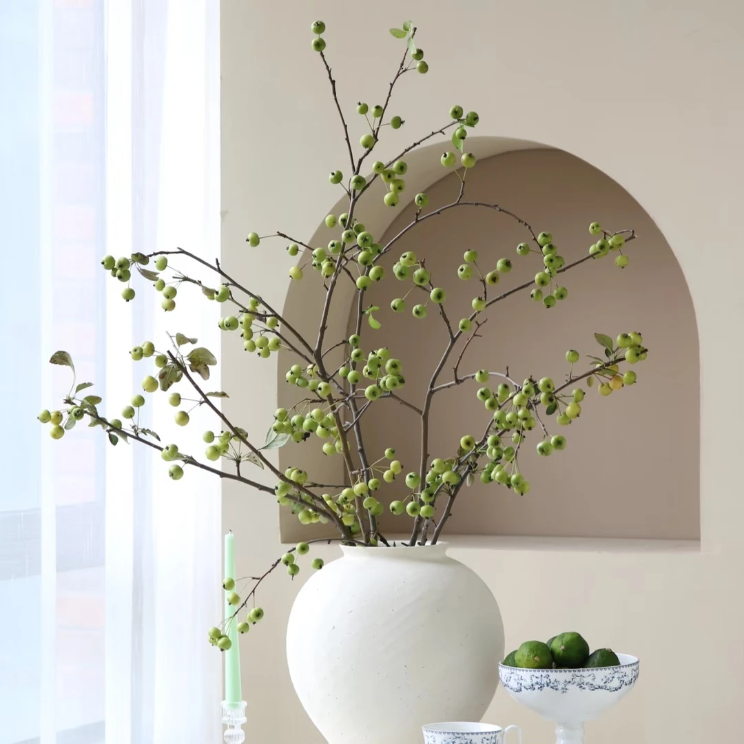 【海棠果】东方韵味十足果实类鲜切花（顺丰包邮）