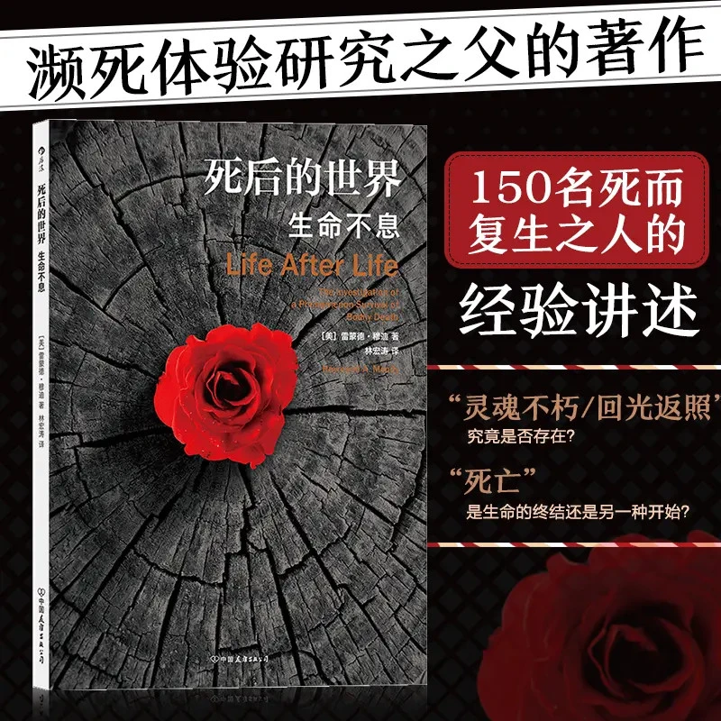 死后的世界：生命不息（平装版）