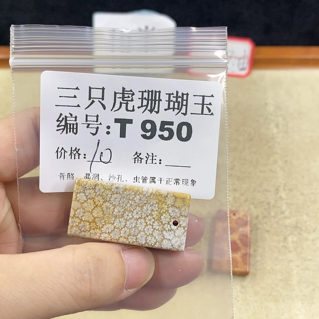 硅化珊瑚（珊瑚玉）1未镶嵌G**a