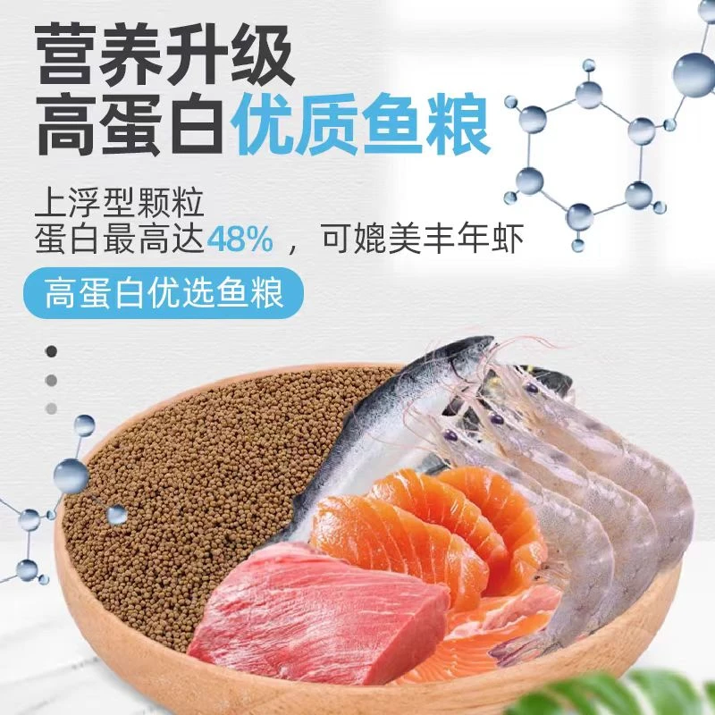 台湾蝴蝶鲤专用鱼饲料增白发尾高蛋白鱼粮喂食精选优质健康