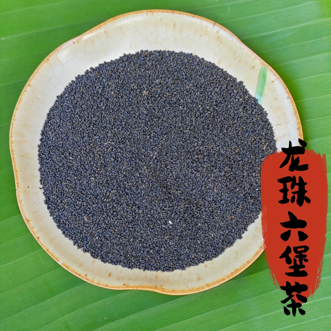广西梧州六堡龙珠六堡虫屎六堡茶