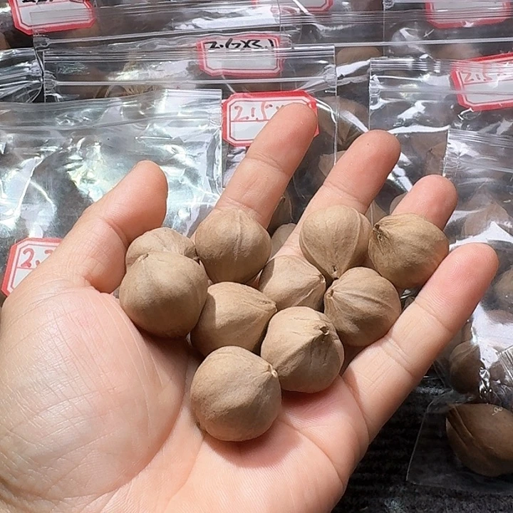 吊坠橄榄核待**…2.4❌2.6