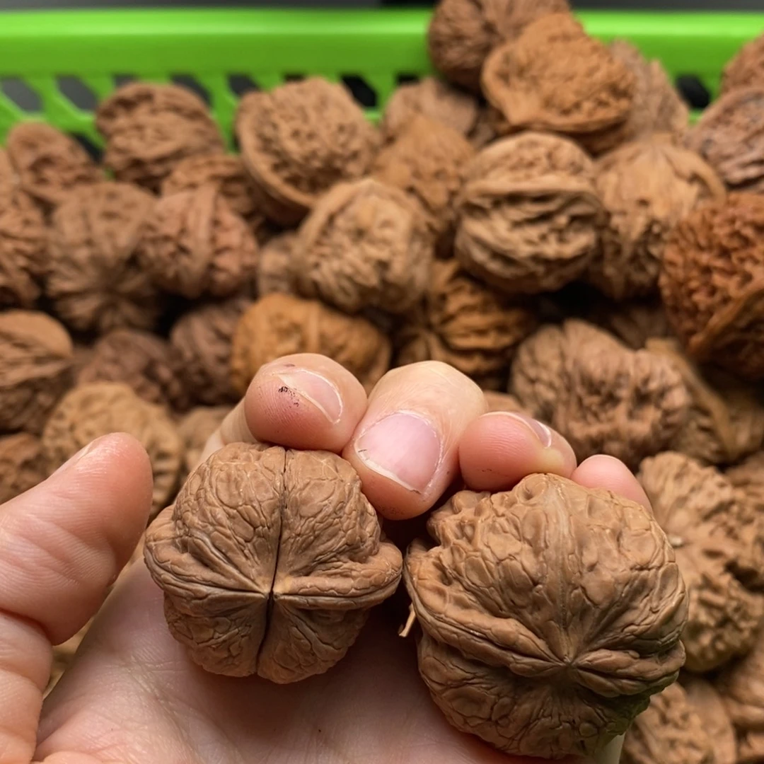 菲***忆核桃定制商品不退不换