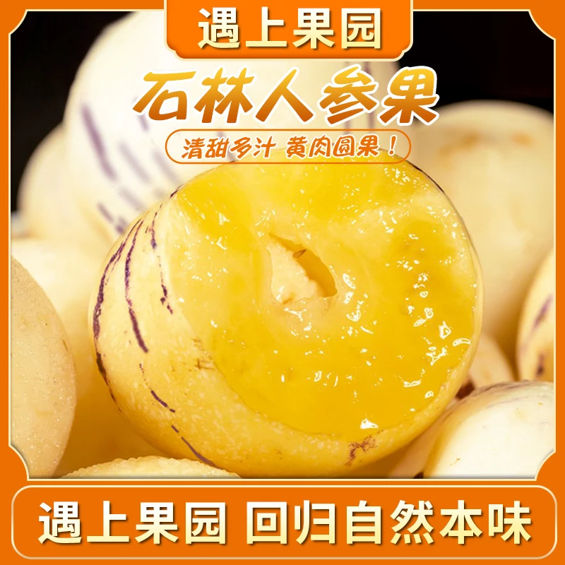 遇上果园【A级果】云南石林人参果现采树上熟新鲜应季清甜多汁