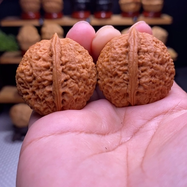 木质类云铁一道筋41号