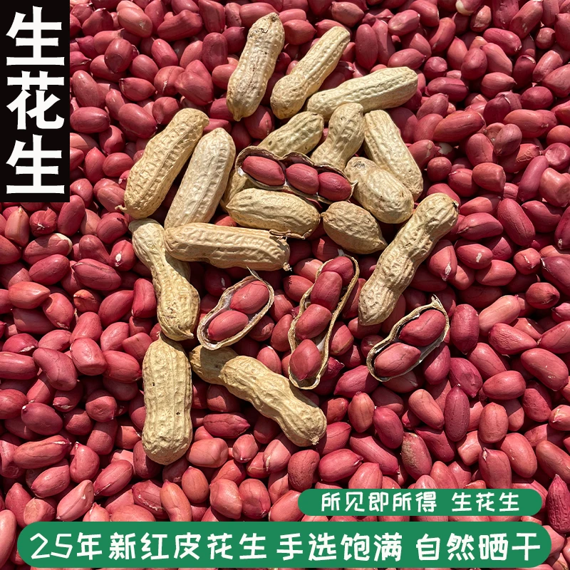 2025新货生红皮小花生带壳农家自种四粒红花生仁生红衣花生米带壳