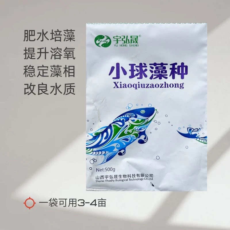 小球藻种水产养殖小球藻绿藻硅藻肥水培藻种鱼虾蟹塘水产复合藻种