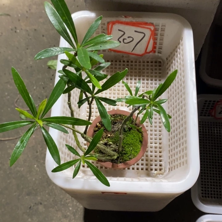 王*坤退款拉黑一物一拍307