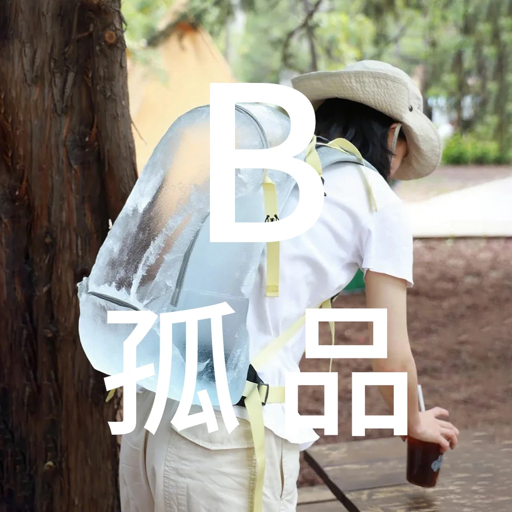 【直播链接】B序列 尾单孤品单肩包/斜挎包/双肩包/腋下包