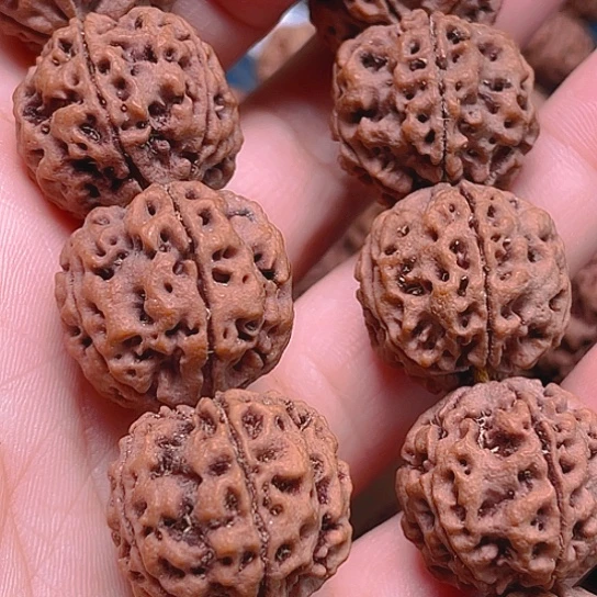 手串金刚菩提v0098/23/5