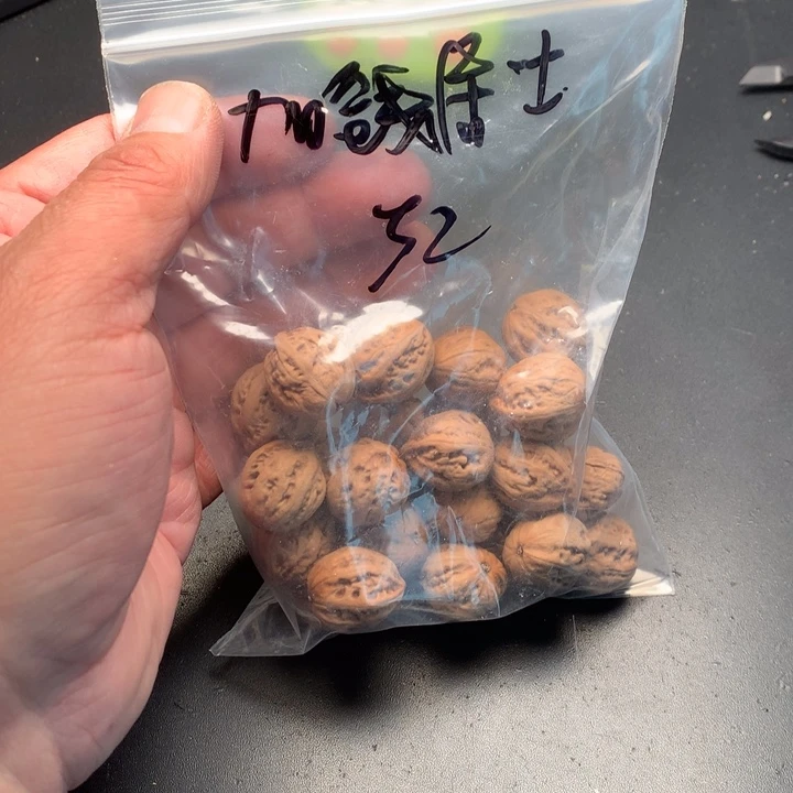 文玩核桃吊坠加**士野生精品小核桃散籽