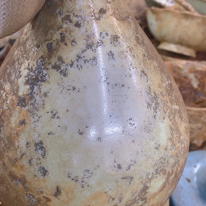 瓷片古****探瓷器瓷器瓷器瓷器瓷器瓷器