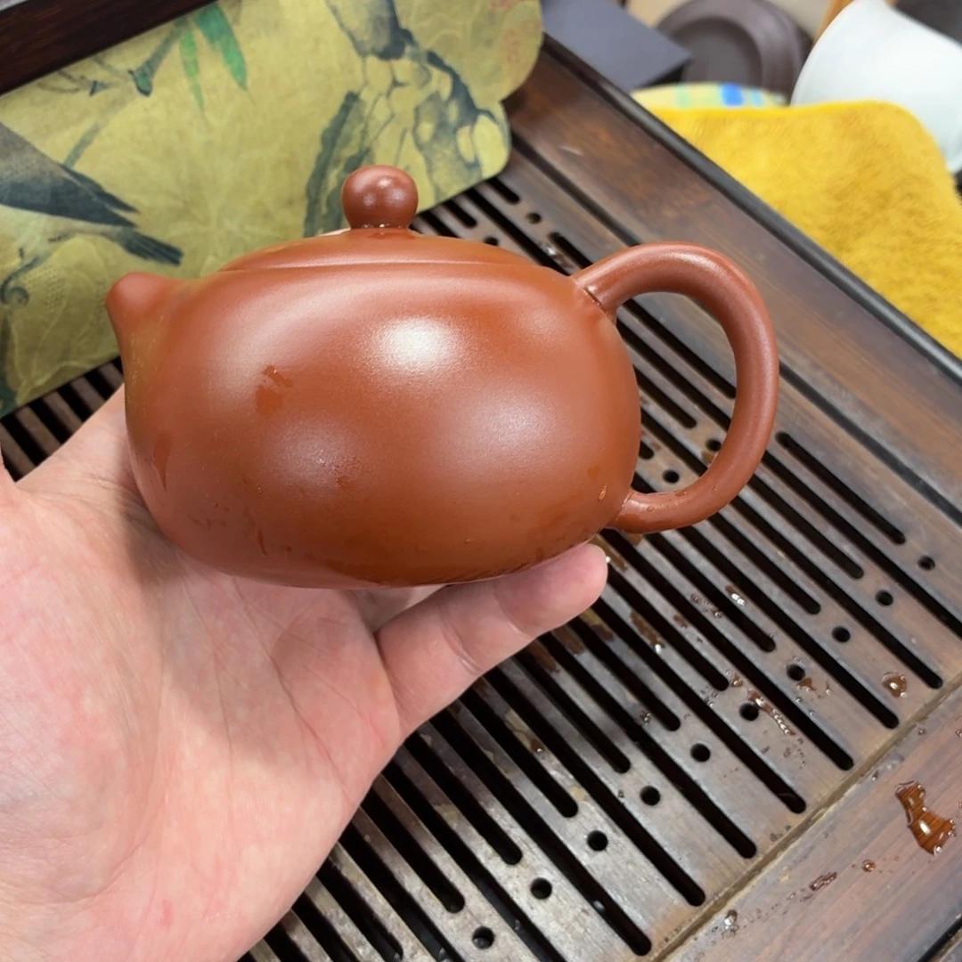 紫砂茶壶壶哈哈哈哈哈哈哈