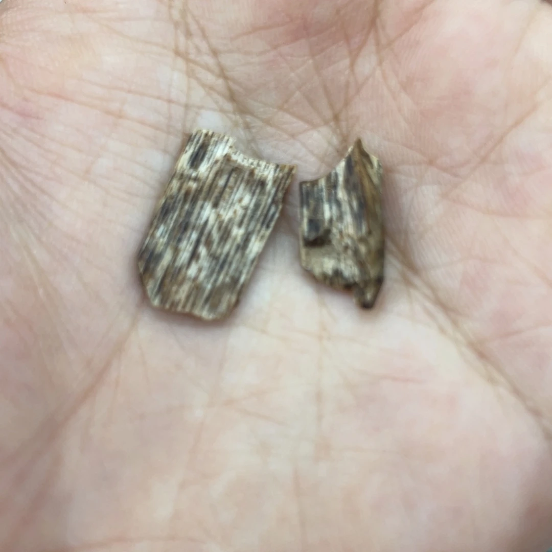 香榧木海南大山兰花结老紫棋0.2g福利