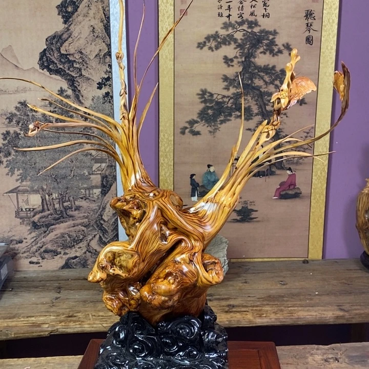 柏木（崖柏）崖柏11111