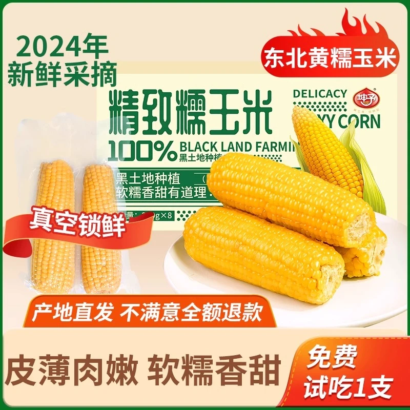 东北粘黄糯玉米棒8支200g-300g/支真空包装黄苞米现摘新鲜甜玉米