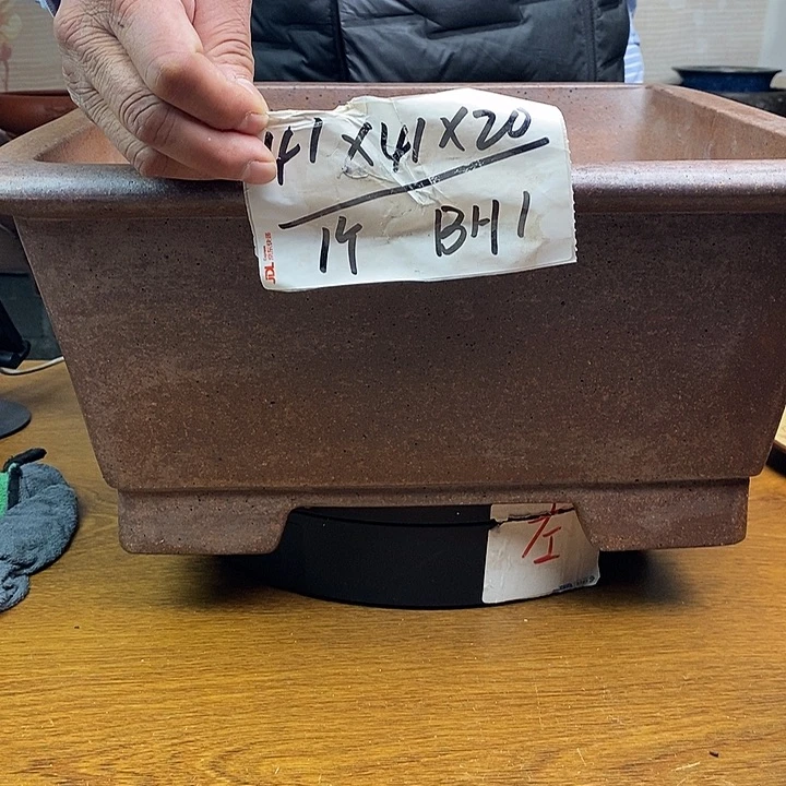 紫砂花盆果***凉货号一只BH1