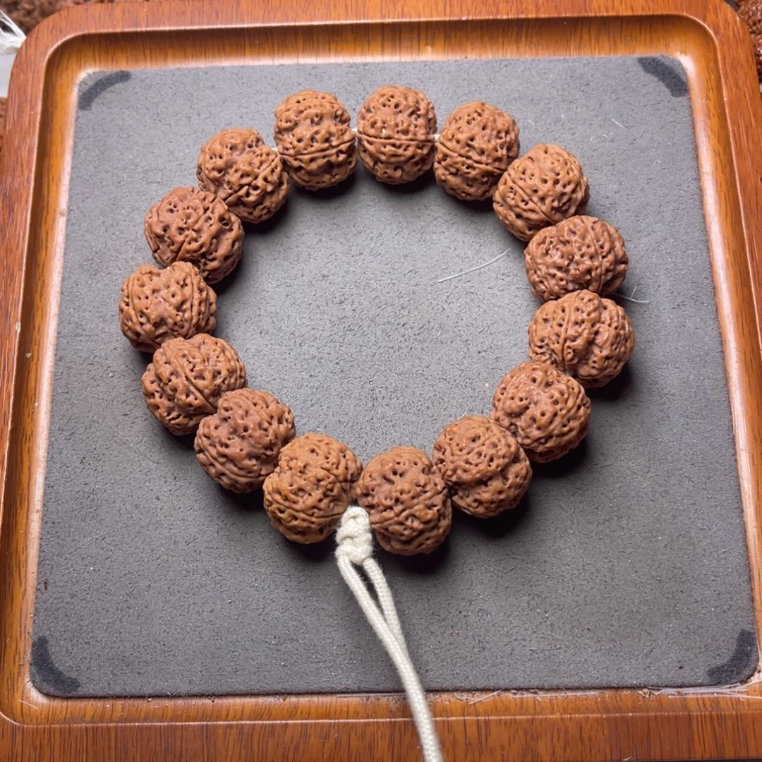 菩提26号金刚菩提满肉梅花双龙22+