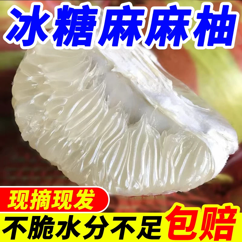 【顺丰包邮】正宗湖南芷江冰糖麻麻柚当季新鲜水果现摘产地直发