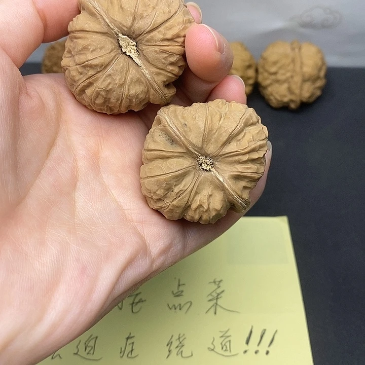 吊坠龙脊菩提40南瓜