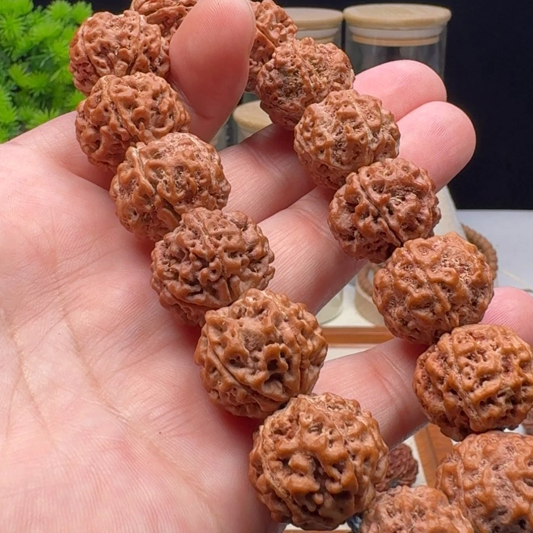 手串金刚菩提五星蜂王