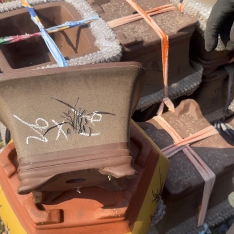 紫砂花盆紫砂花盆盆景盆栽