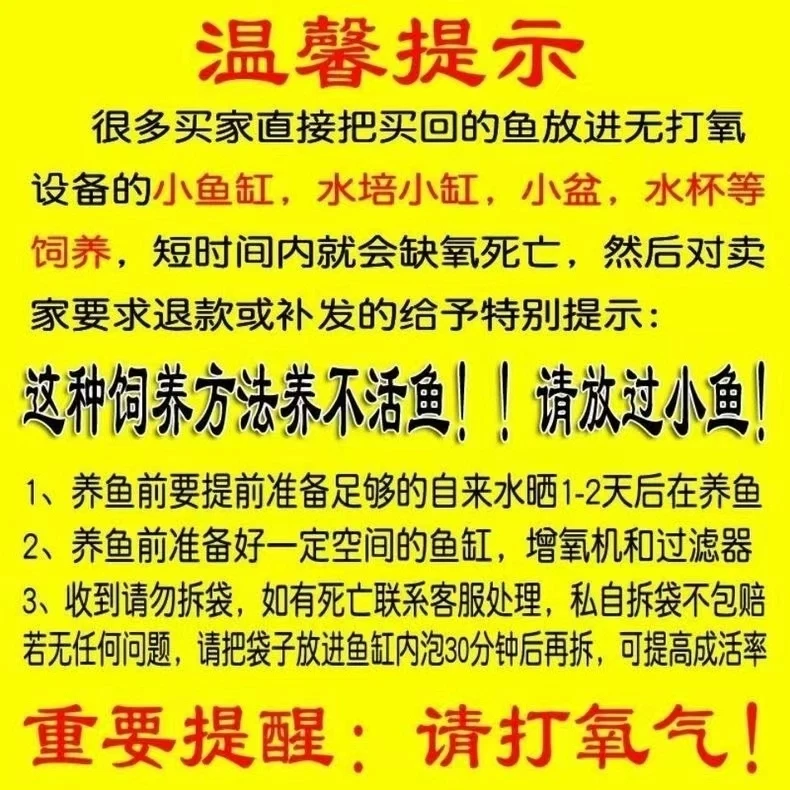 新奇宠物101-200号蝴蝶鲤锦鲤草金包邮包损（收到务必拍开箱视频）