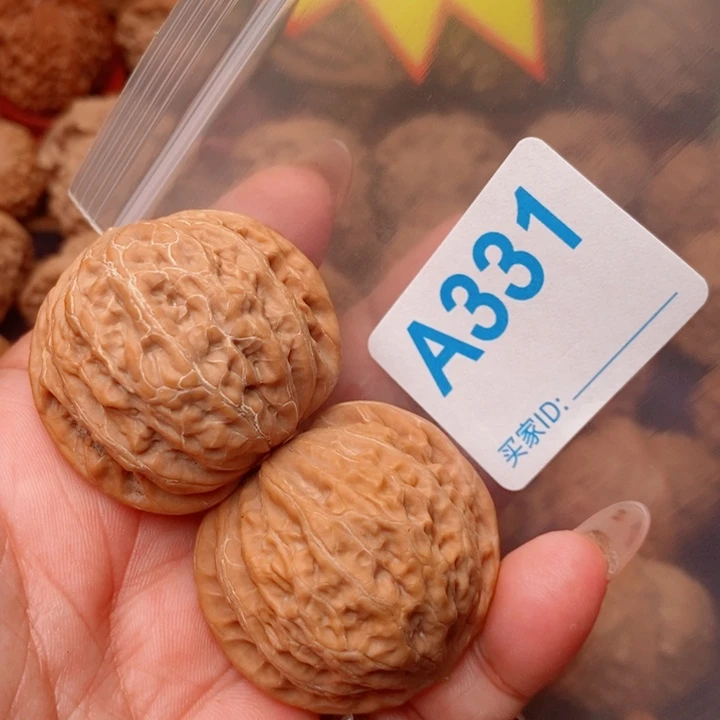 铁锤40尺331号全品