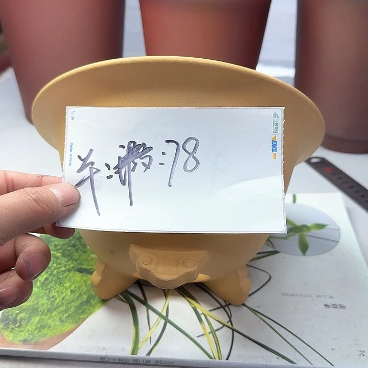 紫砂2222222222222222