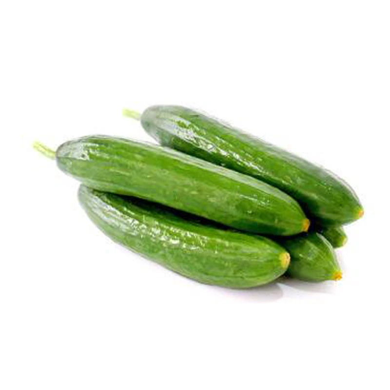（优选）阿塔黄瓜 500g±20g/份 500g